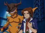 Digimon Data Squad - Volume 1: Episode 01-16 im Sammelschube