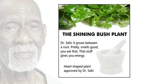 Dr_Sebi - Page 2 - Advocates for Dr. Sebi