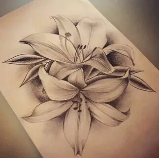 Pin by Blue on цветы Lily flower tattoos, Lily tattoo design