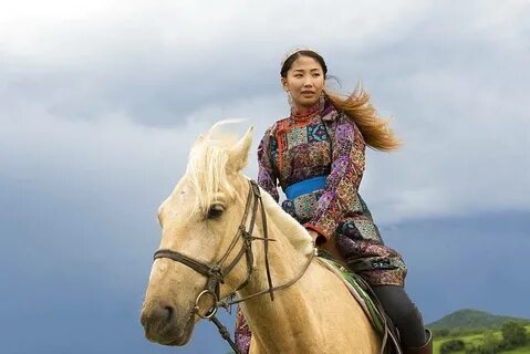 High Quality Stock Photos of "mongolian horse"