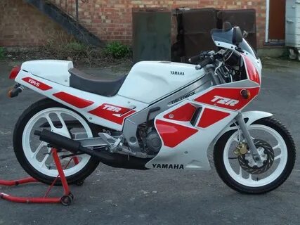 Yamaha 1989 Tzr 250 Related Keywords & Suggestions - Yamaha 