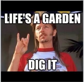 Pin by Myra Jo Shelton on Bahaha. Joe dirt quotes, Joe dirt,