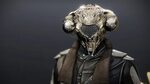 Dawn Chorus Exotic helmet - Destiny 2 Shacknews