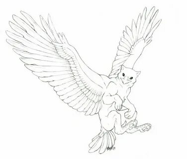 pre15.deviantart.net 57e1 th pre i 2014 320 e 3 gryphon_draw