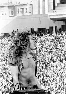 Love this. Robert Plant ... Still would #LedZep Robert plant
