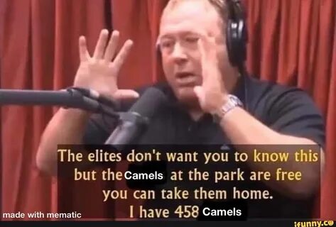 The elites don't want you to know this but Camels at the par