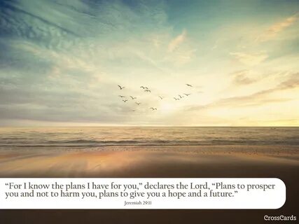 Wallpaper Iphone Bible Verse Jeremiah 29 11 Quotes and Wallp