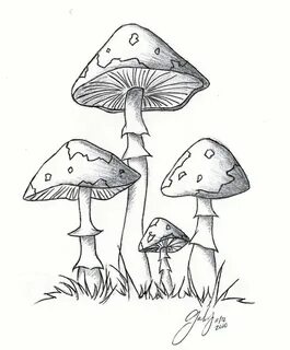 Drawn mushroom graffito - Pencil and in color drawn mushroom
