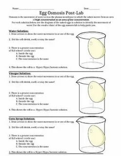Egg Osmosis Lab Report Osmosis, Biology experiments, Lab rep
