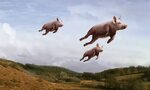 PIGS FLY: Chris Matthews Agrees With Trump on Polls; Wants H
