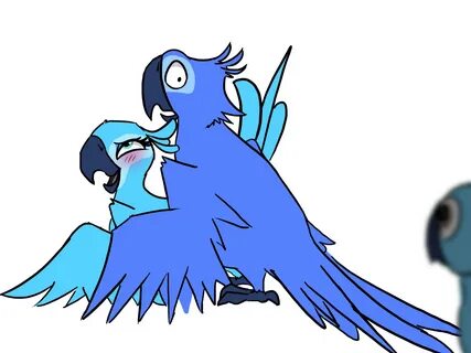 Freaky Rio Birds Rule 34 Know Your Meme