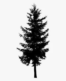 Fir-tree Png Image With Transparent Background - Silhouette 