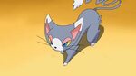 22 Fun And Fascinating Facts About Glameow From Pokemon - To