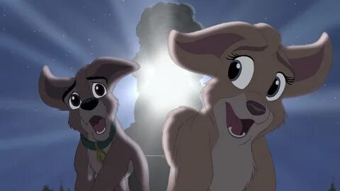 How old do you think Scamp and Angel from Lady and the Tramp