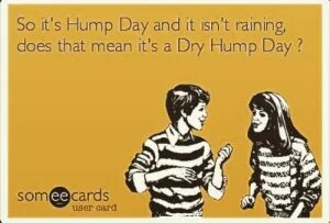 Naughty Hump Day Meme - Quotes Trending