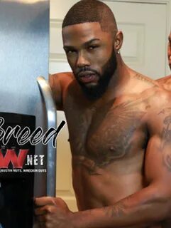 Black Gay Porn Star Knockout Sex Pictures Pass