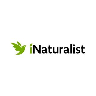 Inaturalist.org - Customer Reviews