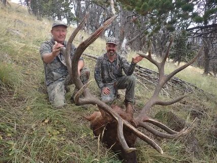 New World Record for Crossbow Elk Confirmed by SCI OutdoorHu