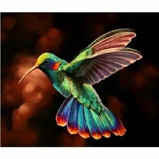 Full diamond painted hummingbird DIY5D cross stitch diamond 