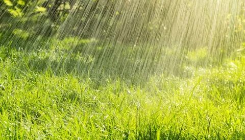 Warm Summer Rain and Sunny Day Stock Image - Image of damp, 