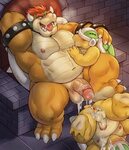 BOWSER. Gallery - 714/717 - Hentai Image