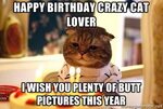 Crazy Cat Birthday Picture - Best Happy Birthday Wishes