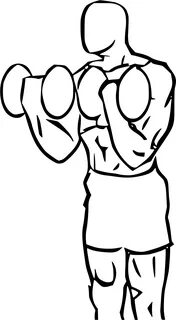 Biceps Drawing Cartoon Clip Art Royalty Free Download - Squa