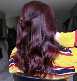 Pin by Andrea lynn on Hair color ❄ Hair color plum, Wine hai