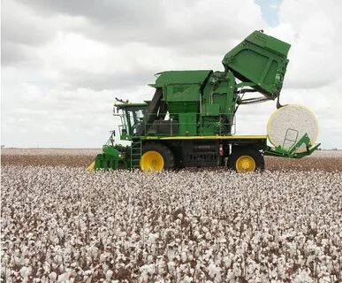 Cotton Harvesting Methods and Cotton Ginning Procedures Cott