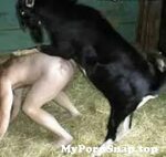 Goat Sex Girls Porn Sex Pictures Pass