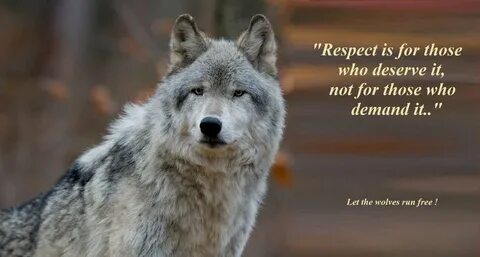 Famous Wolf Quotes. QuotesGram