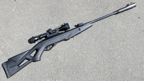 Gamo Whisper Silent Cat Air Rifle Review - SmallBusinessNet