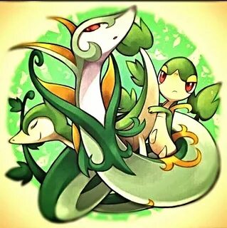 A cool image of the Snivy line Pokémon Amino