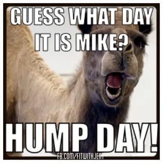 Fit With Jen Facebook Hump day humor, Hump day quotes, Funny