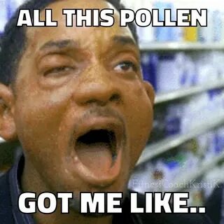 Pin by Home Improvement Hub on EXPRESS YO-SELF Allergies fun