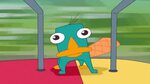 Why We Love Perry the Platypus Oh My Disney Perry the platyp