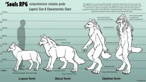 (Example is a wolf; other species will have differences in height. 
