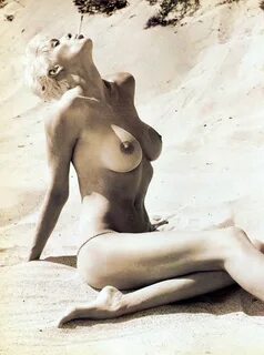 Brigitte Nielsen Nude Pics Seite 1 Free Download Nude Photo 
