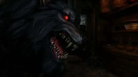 the wolf huntsman rwby x werewolf male reader the power of r