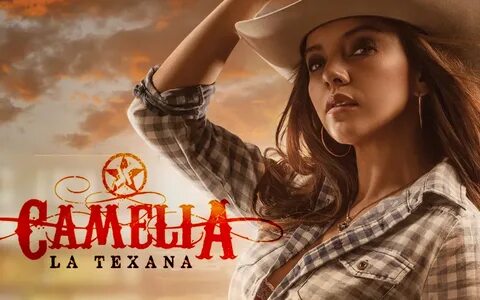 Camelia La Texana' Telemundo Premiere: Who Is Who In Telenov