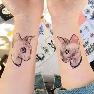 Cattoo Hairless Cat Tattoo Stickers Sphynx Cat Sphynx Kitten