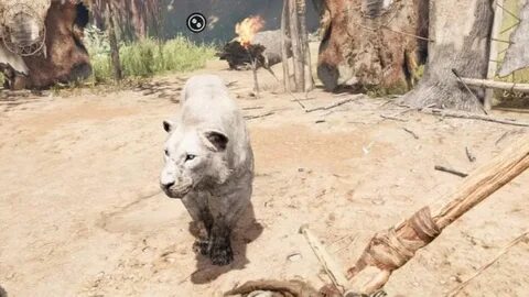 Far Cry Primal: How to Tame All Animals and What They Do