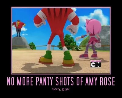 No more panty shots of Amy Rose Demotivational Posters Know 
