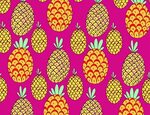 Pineapples Behance