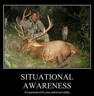 Elk hunting Jokes