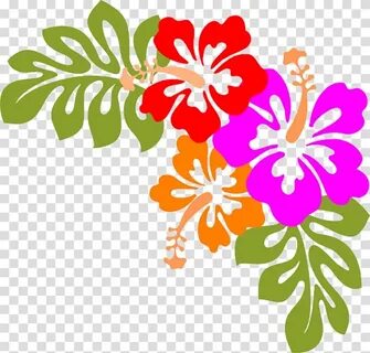 Download High Quality hawaii clipart hibiscus Transparent PN