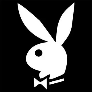 Bunny Hop - YouTube