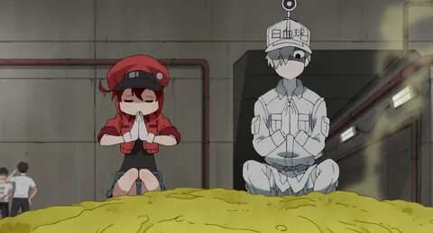 LofZOdyssey - Anime Reviews: Anime Hajime Review: Cells at W