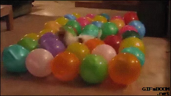 Гифка собака воздушный шар globo гиф картинка, скачать gif н