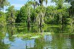 Beth's Blog: Louisiana Swamp Tour -- Day 3